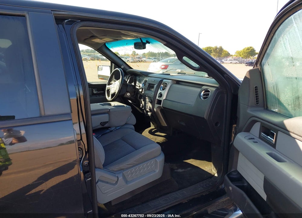 2013 FORD F-150 XLT VIN: 1FTFW1EF9DKE98382