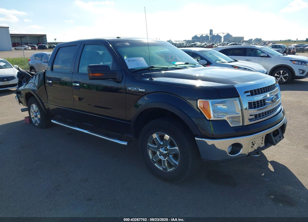 2013 FORD F-150 XLT VIN: 1FTFW1EF9DKE98382