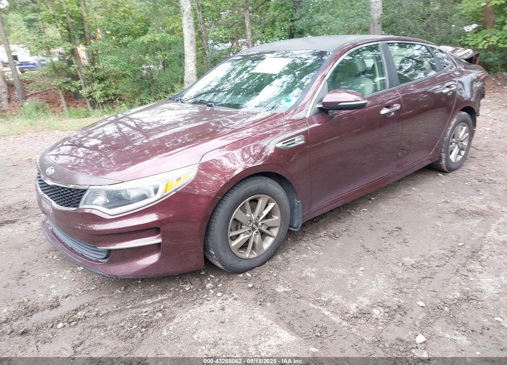 2016 KIA OPTIMA VIN: 5XXGT4L19GG033699