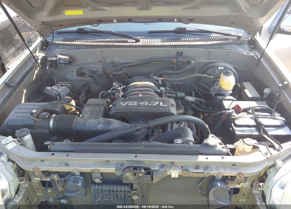 2006 TOYOTA TUNDRA VIN: 5TBDT44156S550019