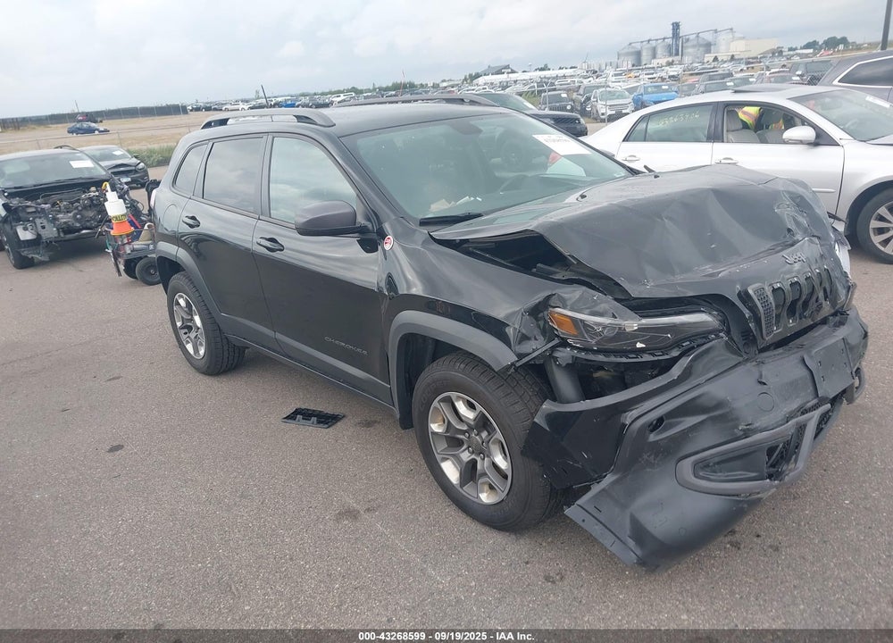 2020 JEEP CHEROKEE TRAILHAWK 4X4 VIN: 1C4PJMBXXLD631221