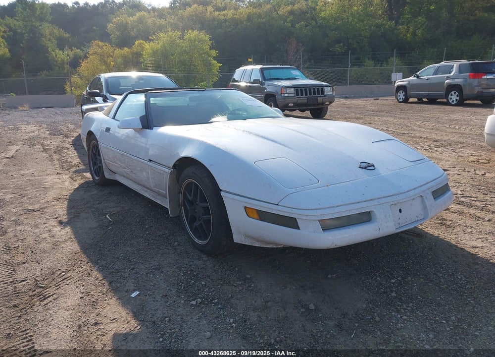1996 CHEVROLET CORVETTE VIN: 1G1YY22PXT5110586