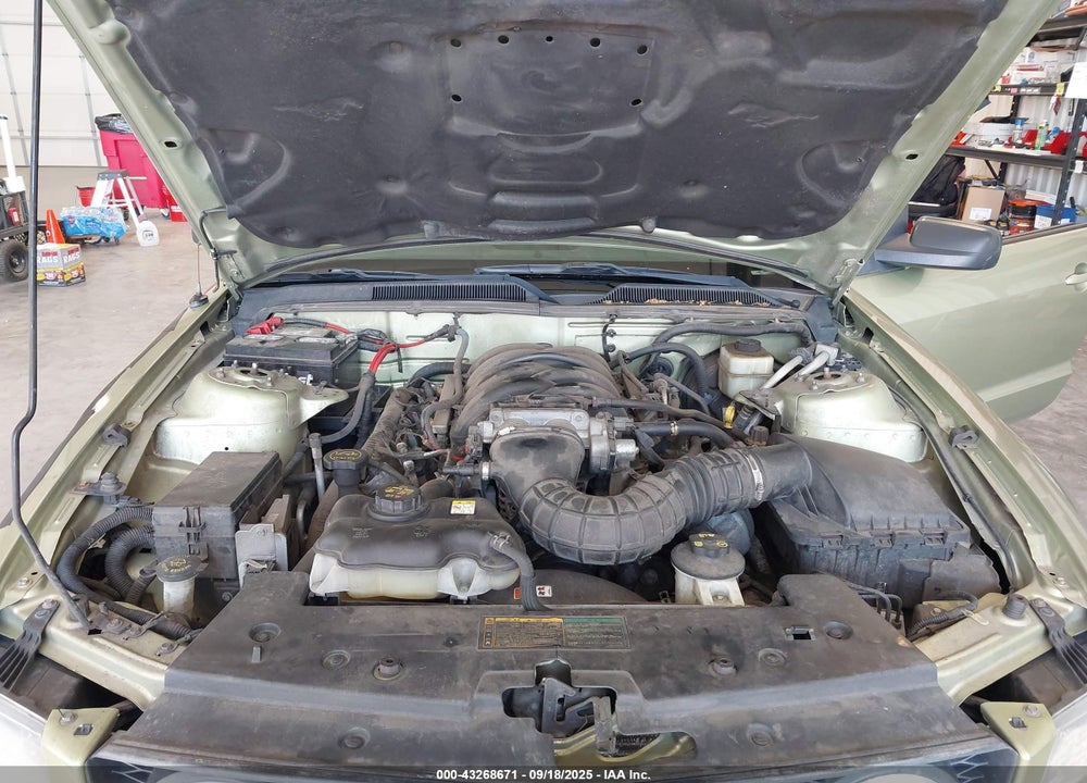 2006 FORD MUSTANG VIN: 1ZVFT82H565240706