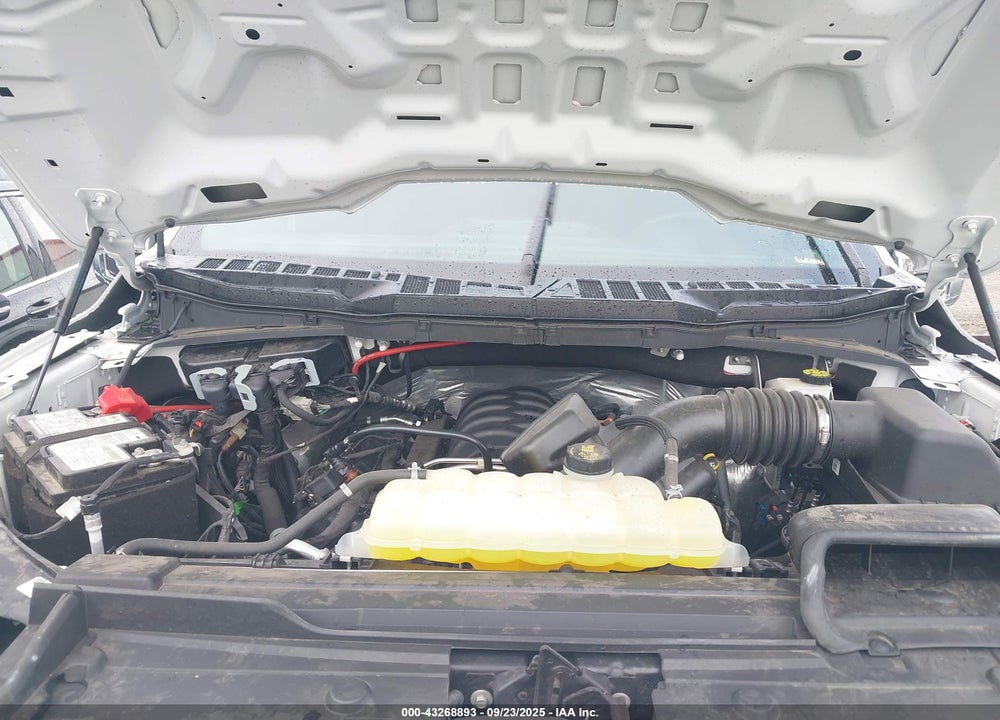 2023 FORD F-150 XL VIN: 1FTFW1E58PKF26605