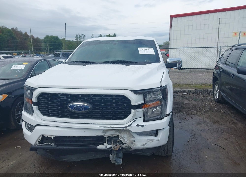 2023 FORD F-150 XL VIN: 1FTFW1E58PKF26605