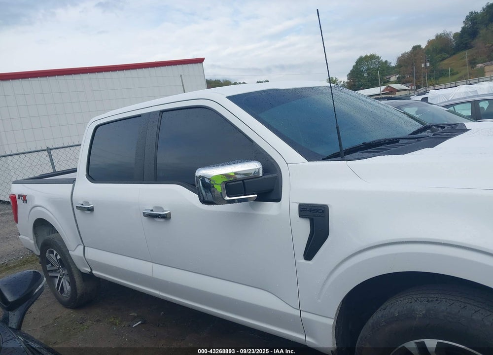 2023 FORD F-150 XL VIN: 1FTFW1E58PKF26605