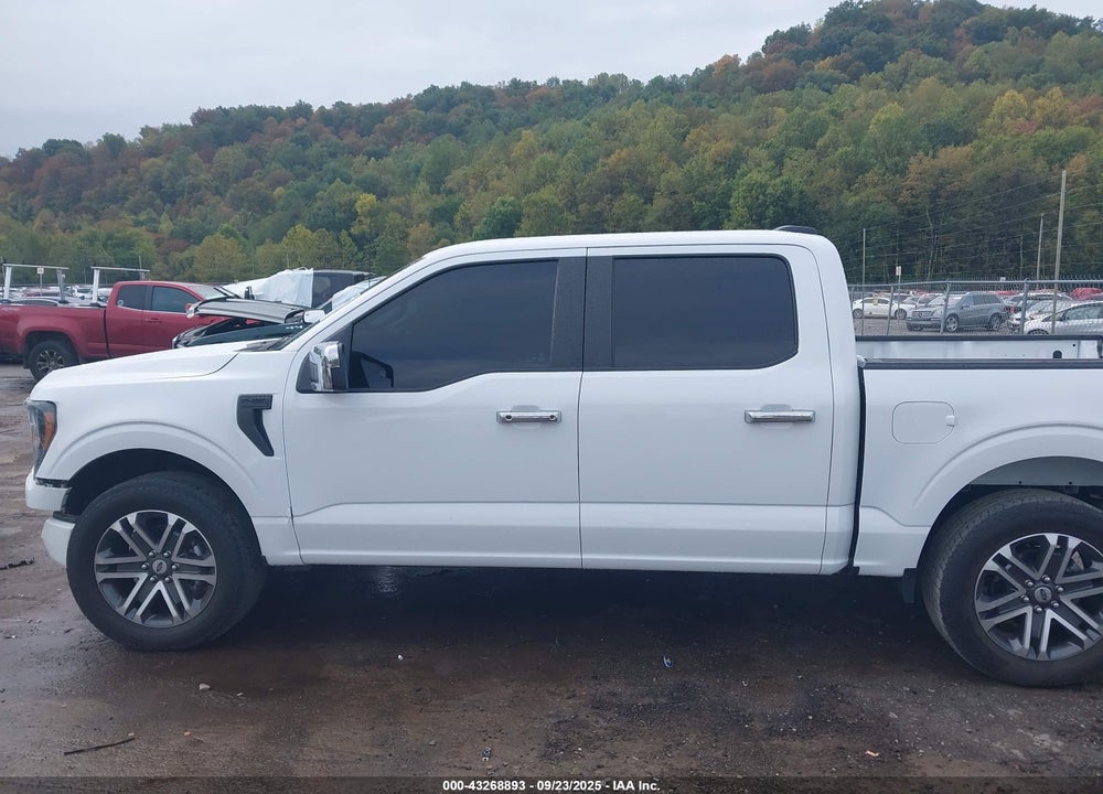 2023 FORD F-150 XL VIN: 1FTFW1E58PKF26605