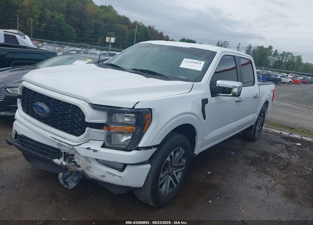 2023 FORD F-150 XL VIN: 1FTFW1E58PKF26605