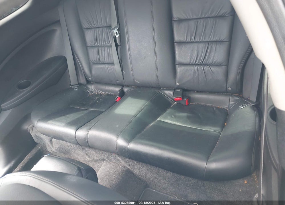 2011 HONDA ACCORD VIN: 1HGCS1B84BA009041