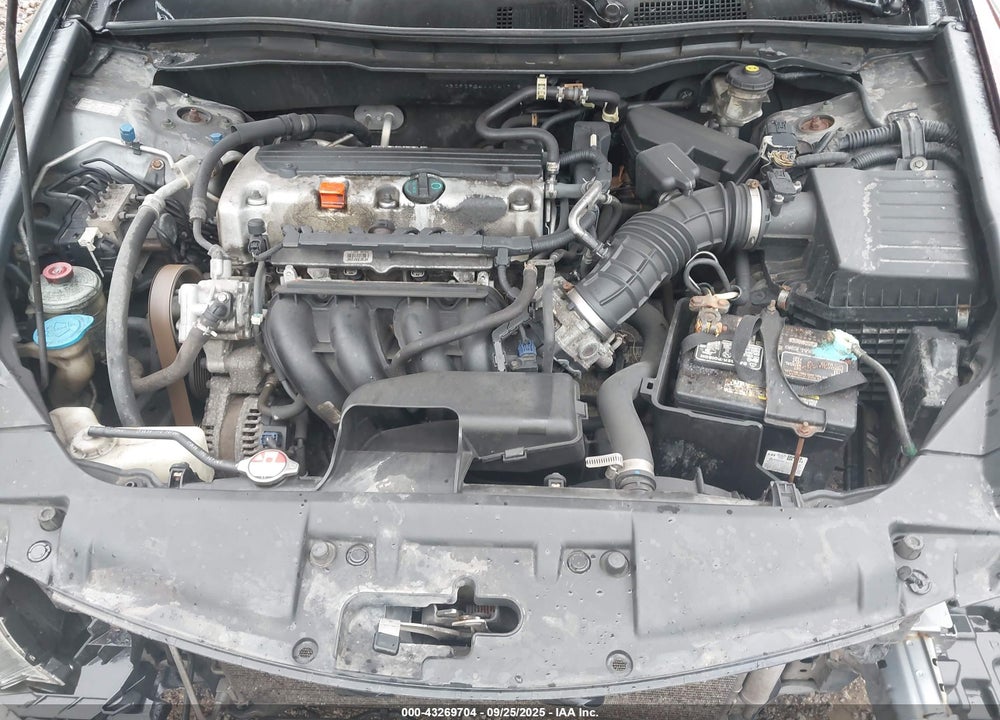 2010 HONDA ACCORD 2.4 LX VIN: 1HGCP2F34AA041718