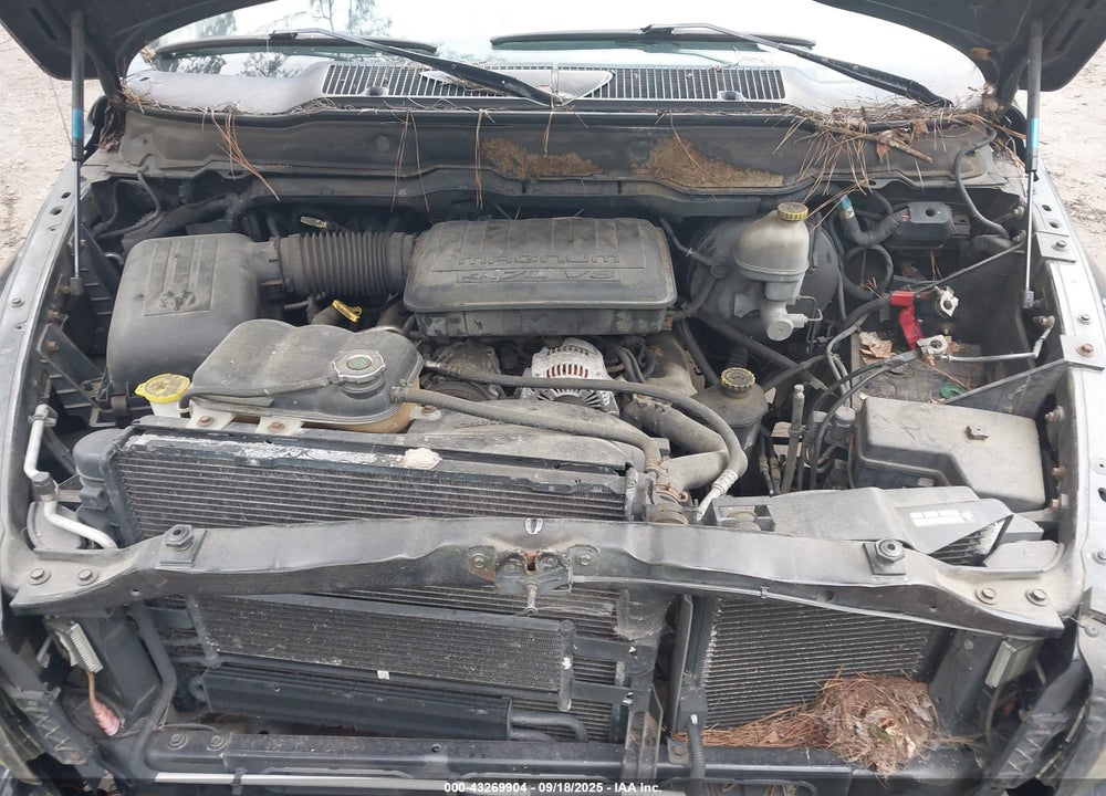 2002 DODGE RAM 1500 ST VIN: 1B7HU18N22J104810