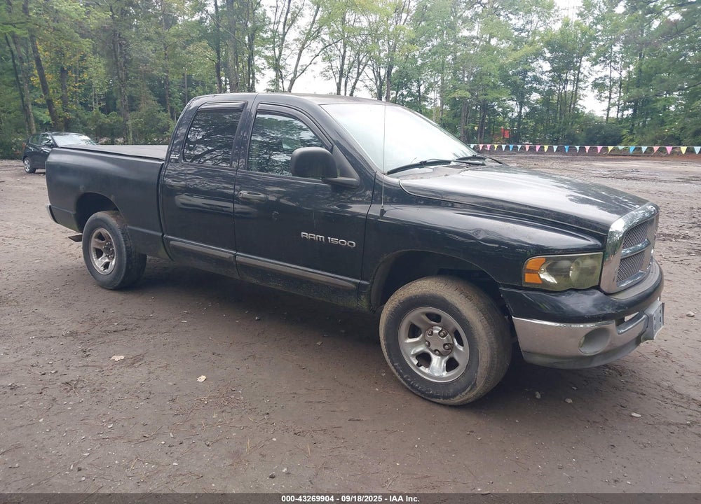 2002 DODGE RAM 1500 ST VIN: 1B7HU18N22J104810