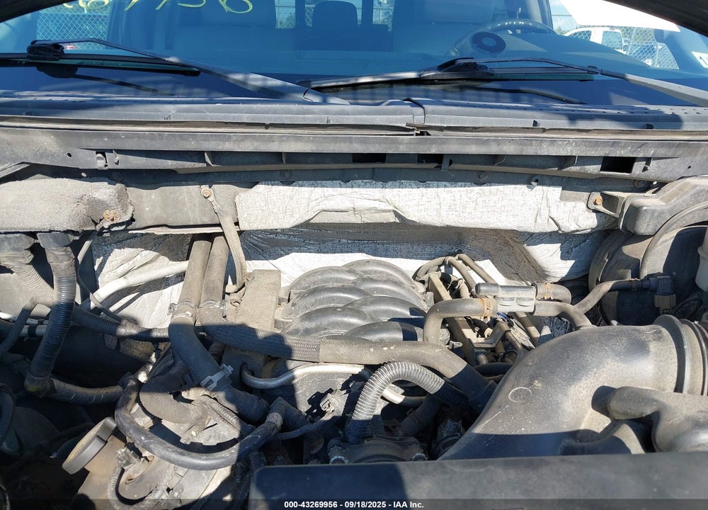 2011 FORD F-150 VIN: 1FTFW1EF9BFD01703