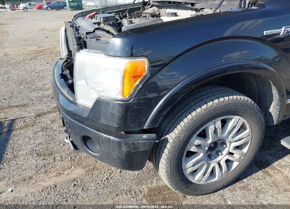 2011 FORD F-150 VIN: 1FTFW1EF9BFD01703