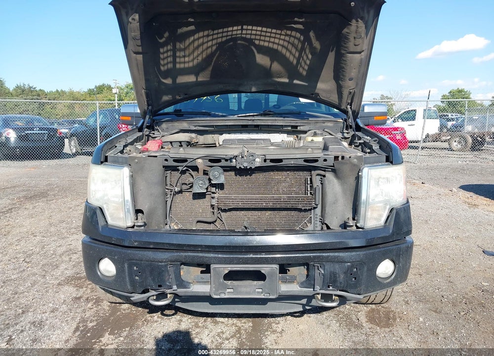 2011 FORD F-150 VIN: 1FTFW1EF9BFD01703
