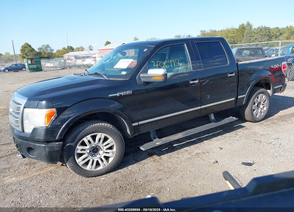 2011 FORD F-150 VIN: 1FTFW1EF9BFD01703