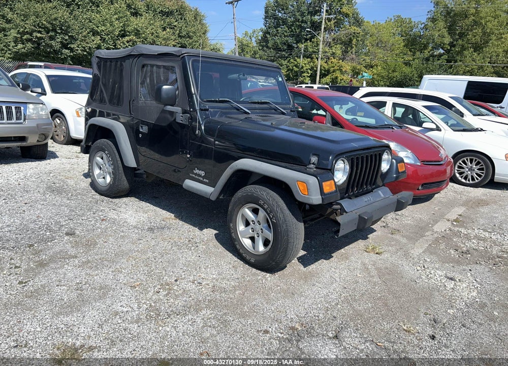 2004 JEEP WRANGLER / TJ SE VIN: 1J4FA29174P701897