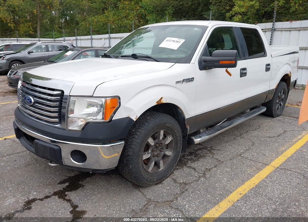 2010 FORD F-150 FX4/HARLEY-DAVIDSON/KING RANCH/LARIAT/PLATINUM/XL/XLT VIN: 1FTFW1EV0AFD31825