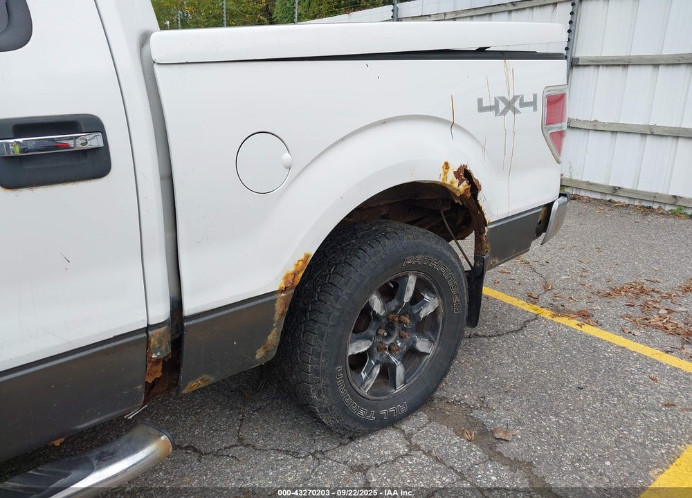 2010 FORD F-150 FX4/HARLEY-DAVIDSON/KING RANCH/LARIAT/PLATINUM/XL/XLT VIN: 1FTFW1EV0AFD31825