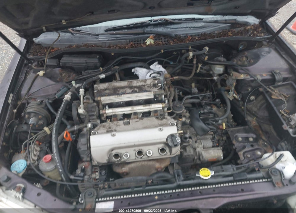 1998 HONDA ACCORD LX V6 VIN: 1HGCG1645WA049952