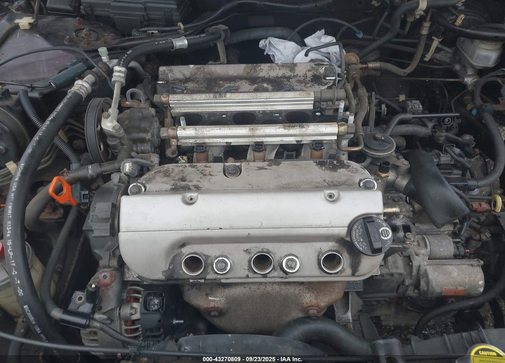 1998 HONDA ACCORD LX V6 VIN: 1HGCG1645WA049952