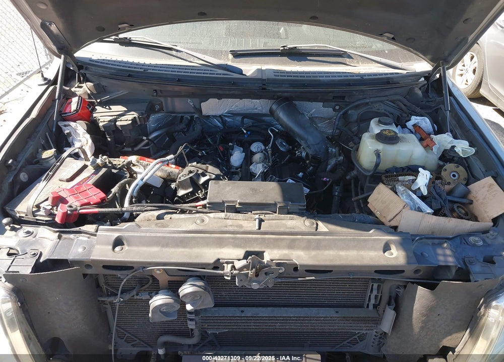 2011 FORD F-150 VIN: 1FTFW1ET0BFD14961