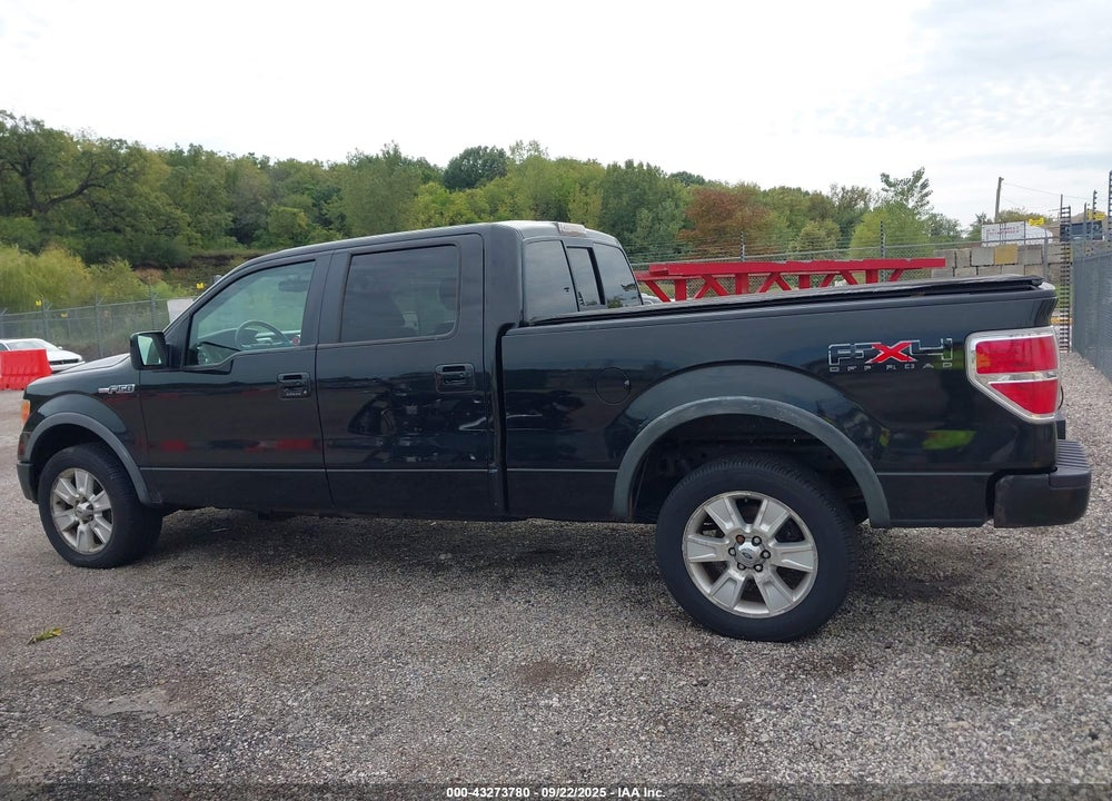 2010 FORD F-150 VIN: 1FTFW1EVXAFA65844