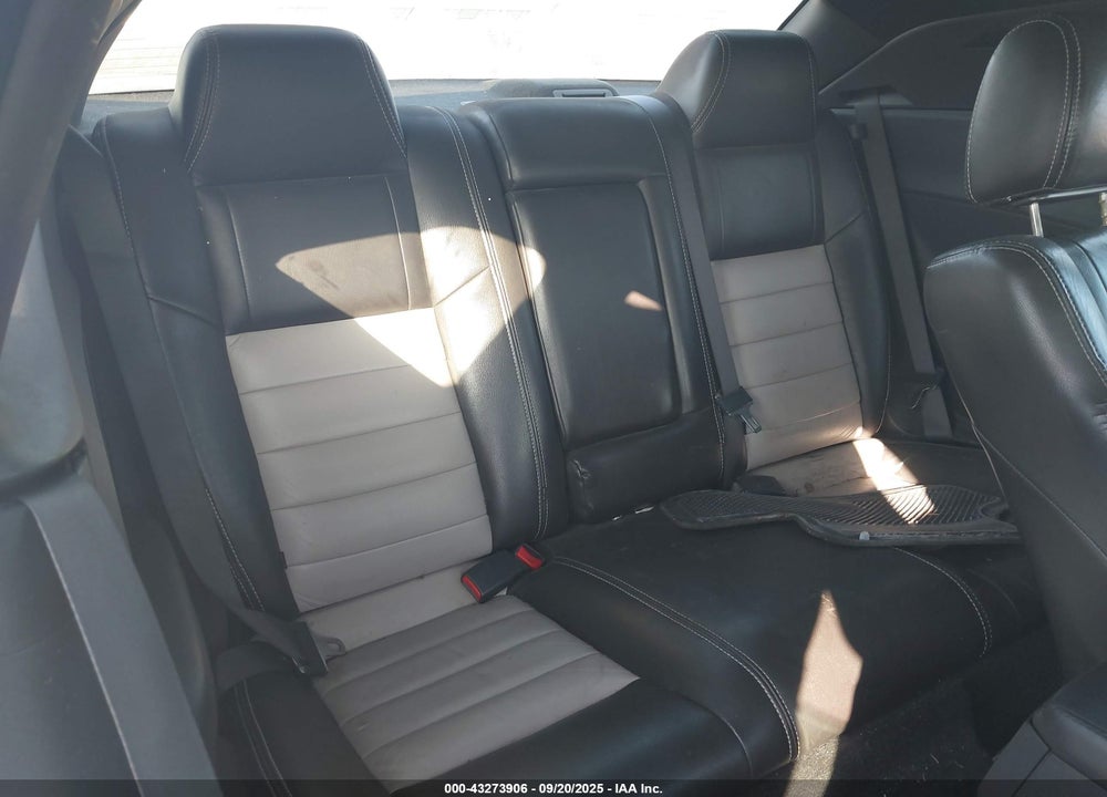 2010 DODGE CHALLENGER VIN: 2B3CJ4DV1AH146350
