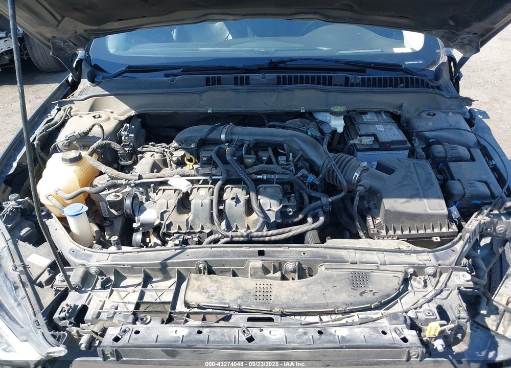 2019 FORD FUSION VIN: 3FA6P0D95KR116673