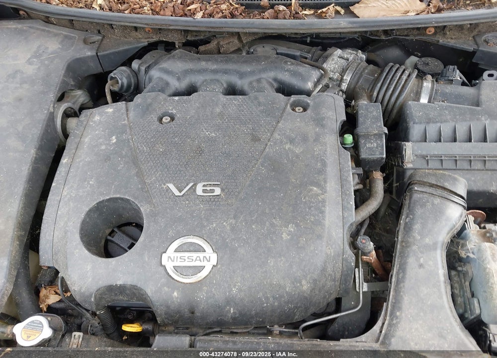 2009 NISSAN MAXIMA VIN: 1N4AA51E19C824437