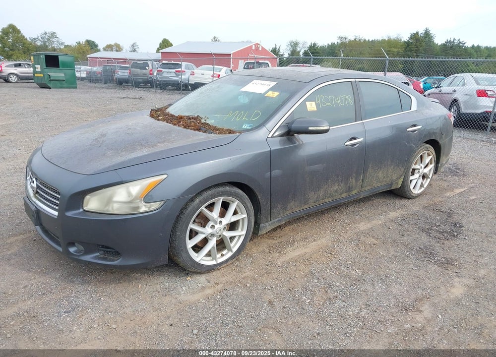 2009 NISSAN MAXIMA VIN: 1N4AA51E19C824437