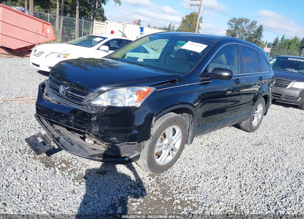2010 HONDA CR-V VIN: 5J6RE4H79AL040623