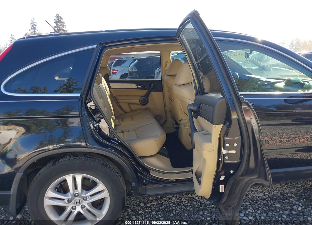 2010 HONDA CR-V VIN: 5J6RE4H79AL040623