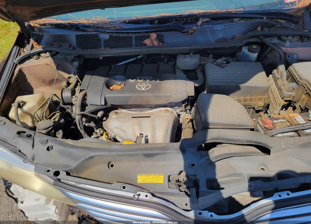 2009 TOYOTA VENZA VIN: 4T3BE11A89U001106