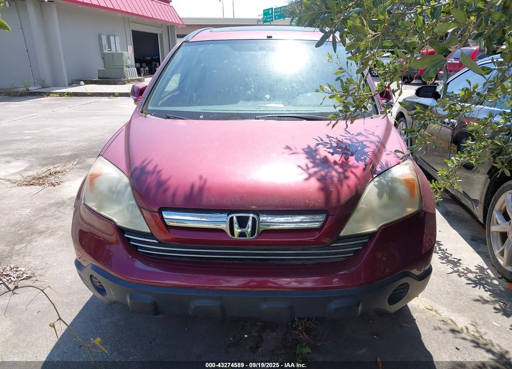 2009 HONDA CR-V VIN: 5J6RE38799L011547