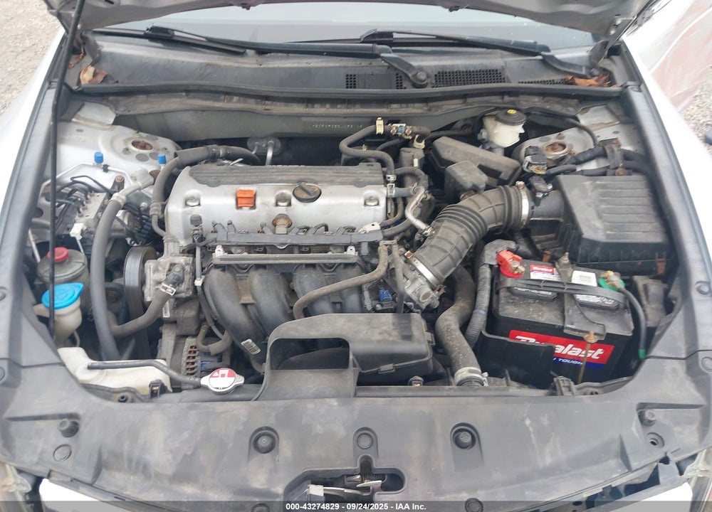 2011 HONDA ACCORD VIN: 1HGCP2F35BA058108