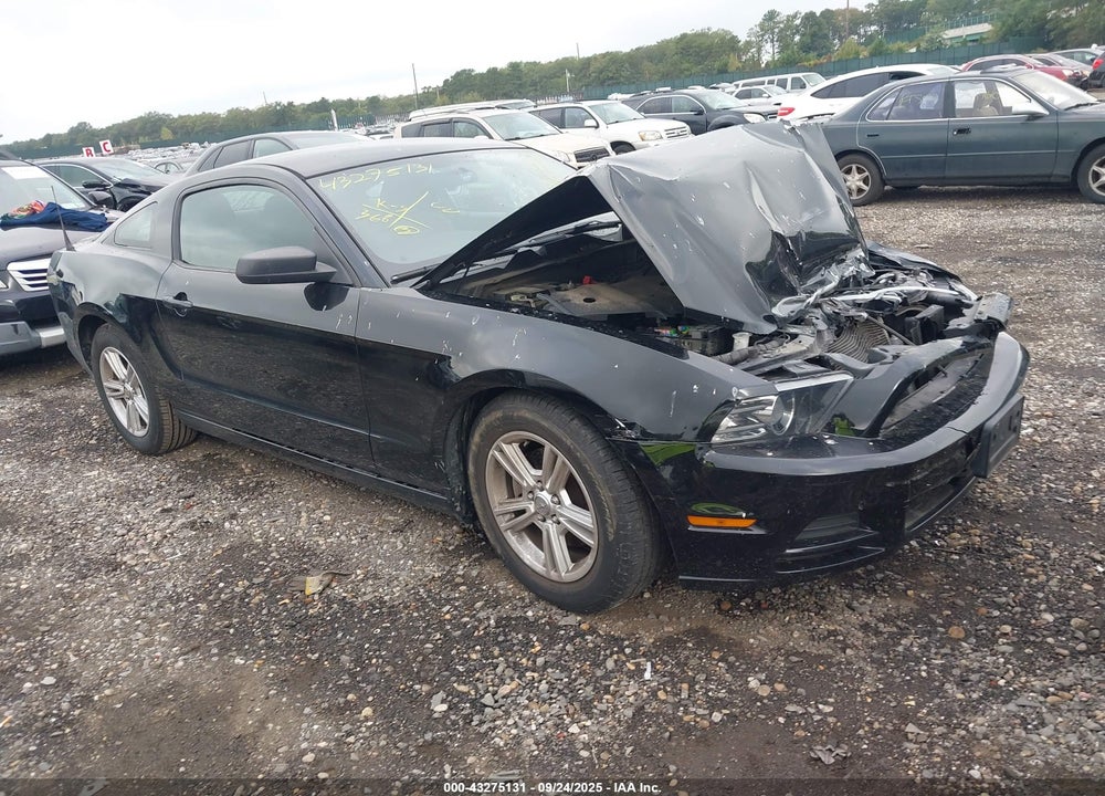 2014 FORD MUSTANG V6 VIN: 1ZVBP8AM3E5214234