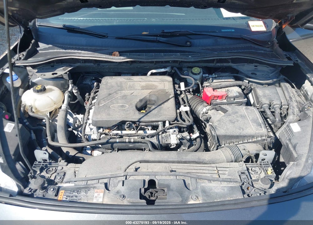 2020 FORD ESCAPE VIN: 1FMCU0F66LUA08755