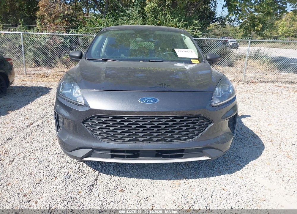 2020 FORD ESCAPE VIN: 1FMCU0F66LUA08755
