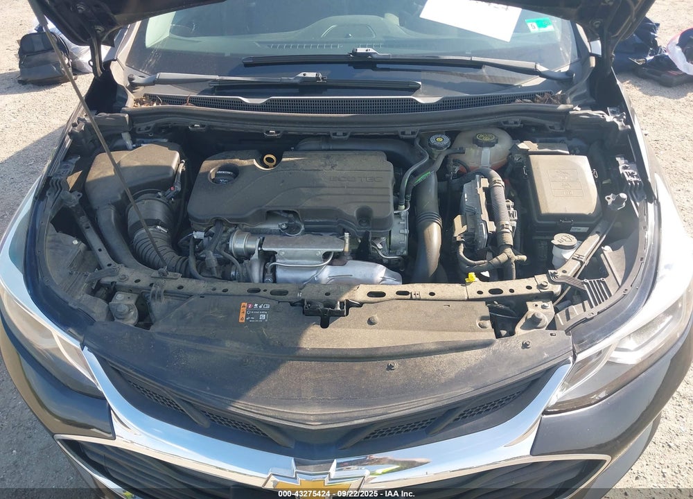 2019 CHEVROLET CRUZE VIN: 1G1BE5SM9K7124181