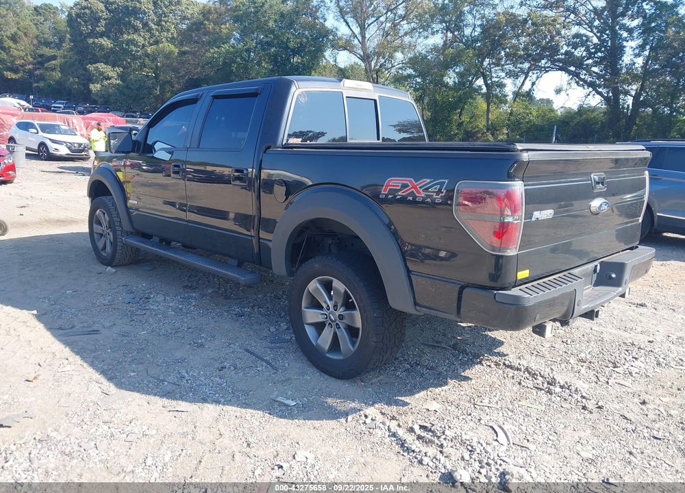 2013 FORD F-150 VIN: 1FTFW1ET8DFD63893