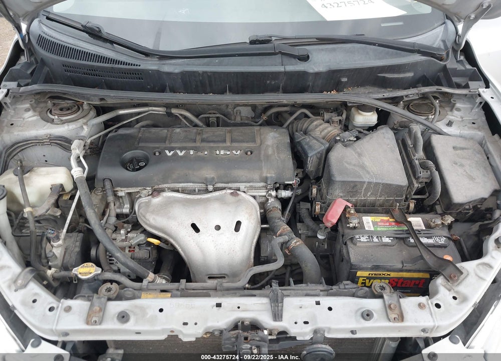 2009 TOYOTA MATRIX VIN: 2T1KE40E19C008687
