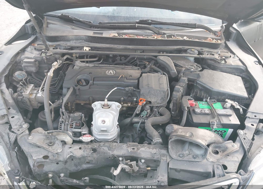 2015 ACURA TLX VIN: 19UUB1F57FA012333