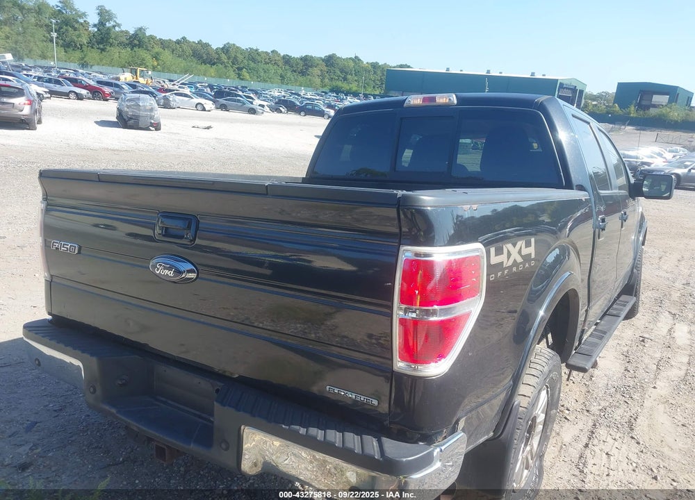 2011 FORD F-150 VIN: 1FTFW1EF2BFA46652