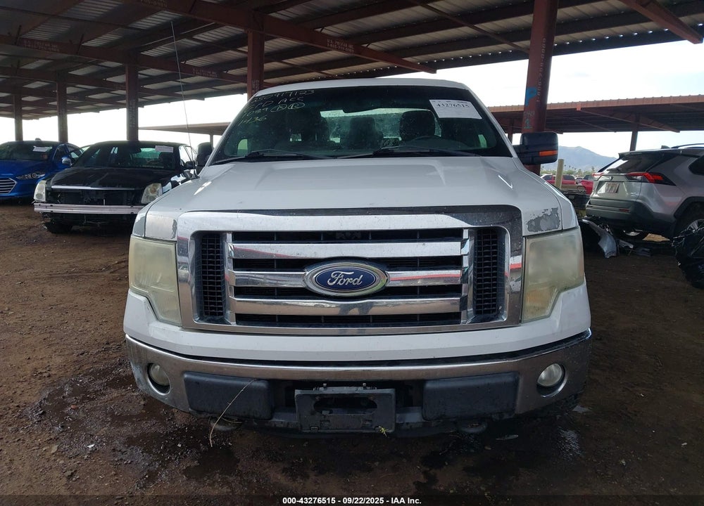 2011 FORD F-150 XLT VIN: 1FTFX1EF7BKD21436