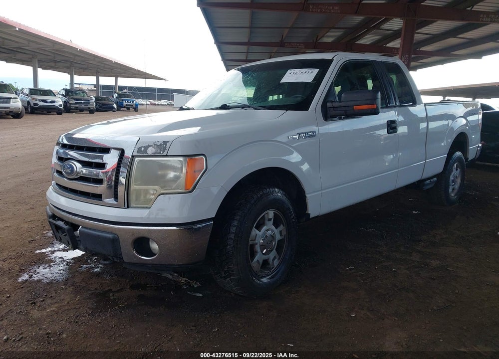 2011 FORD F-150 XLT VIN: 1FTFX1EF7BKD21436