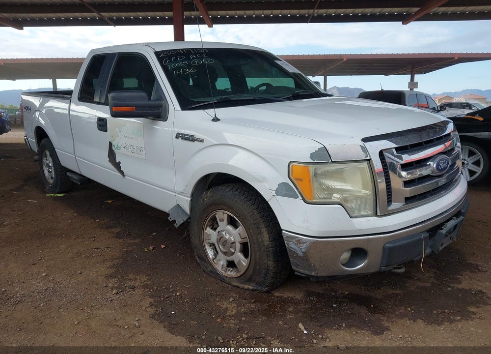 2011 FORD F-150 XLT VIN: 1FTFX1EF7BKD21436