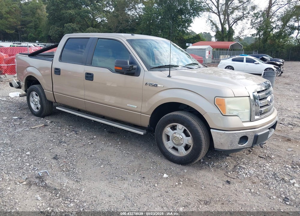 2011 FORD F-150 XLT VIN: 1FTFW1CT3BFB75055