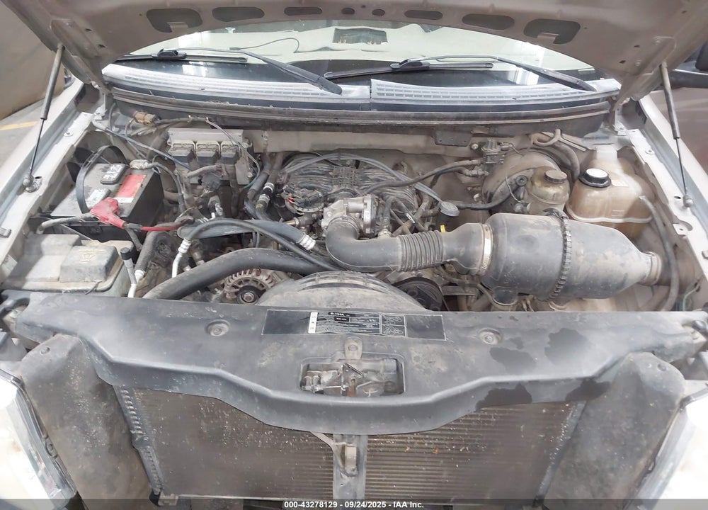 2006 FORD F-150 STX/XL/XLT VIN: 1FTRF12246KD31087