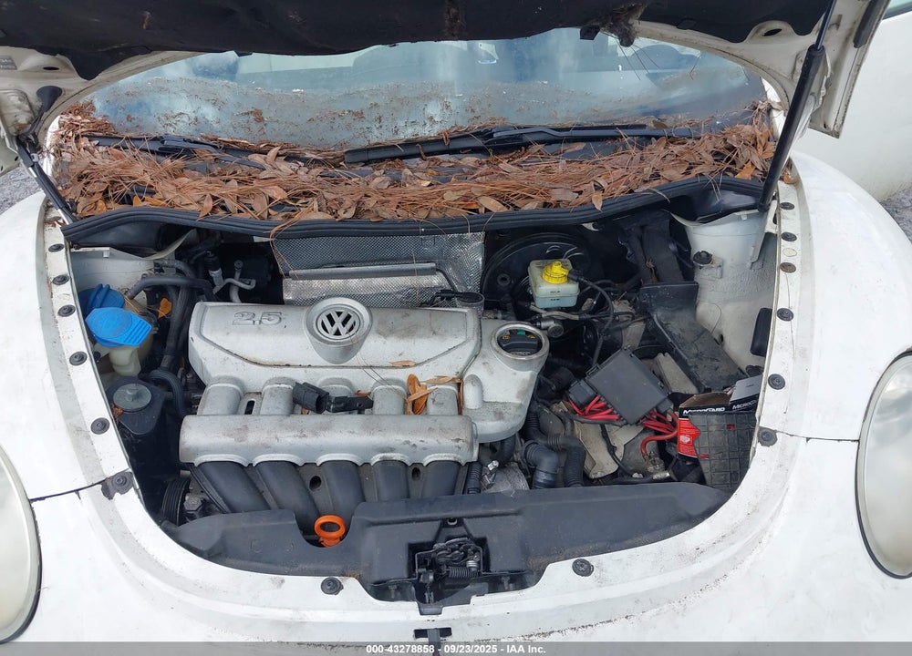 2008 VOLKSWAGEN BEETLE VIN: 3VWFG31CX8M522916